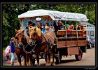 DSC 0101 web