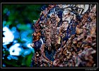 DSC 0017 web