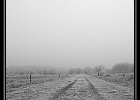 DSC 0026