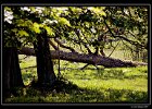 DSC 0027 web
