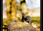 DSC 0038 web
