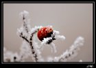 DSC 0056