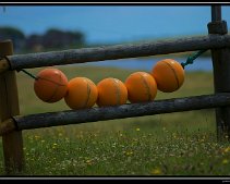 DSC_0009 (C) METZGER