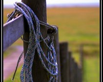 DSC_0014 (C) METZGER