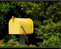 DSC_0022 (C) METZGER