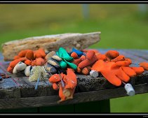 DSC_0025 (C) METZGER