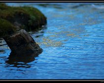 DSC_0038 (C) METZGER