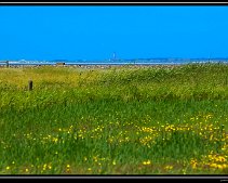 DSC_0073 (C) METZGER