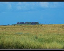 DSC_0085 (C) METZGER