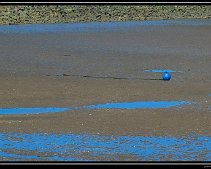 DSC_0090 (C) METZGER