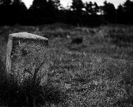 DSC_0101-2
