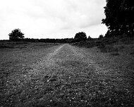 DSC_0103-2